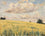 Blue Sky, Long Grass