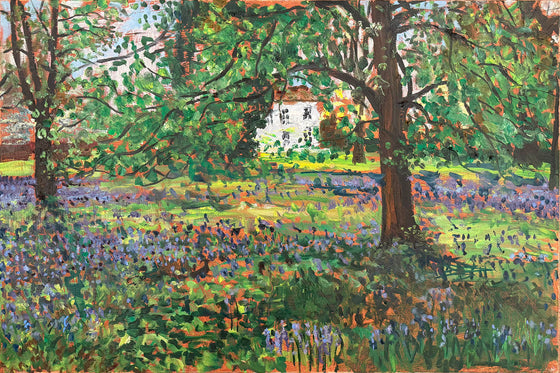 Bluebells, Chilterns