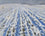 First Snow