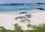 Traigh Bay