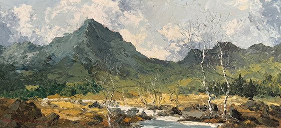 View near Rhyd Ddu, 1970