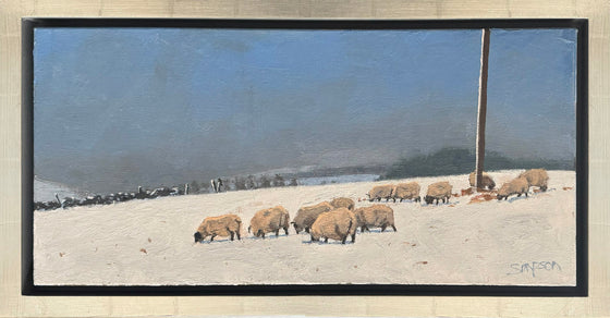 Sheep in Snow