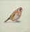 Goldfinch