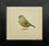 Greenfinch
