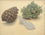 Pinecone, Lichen and Feather