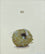 Nest and Egg (Long Tailed Tit)
