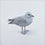 Young Herring Gull