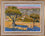 Olive and Almond Trees, Palhagueira