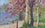 Spring trees by Lake Windermere