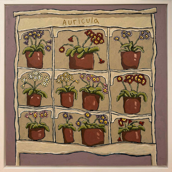 Auricula