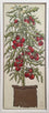 Tomato Plant