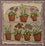 Auricula Theatre