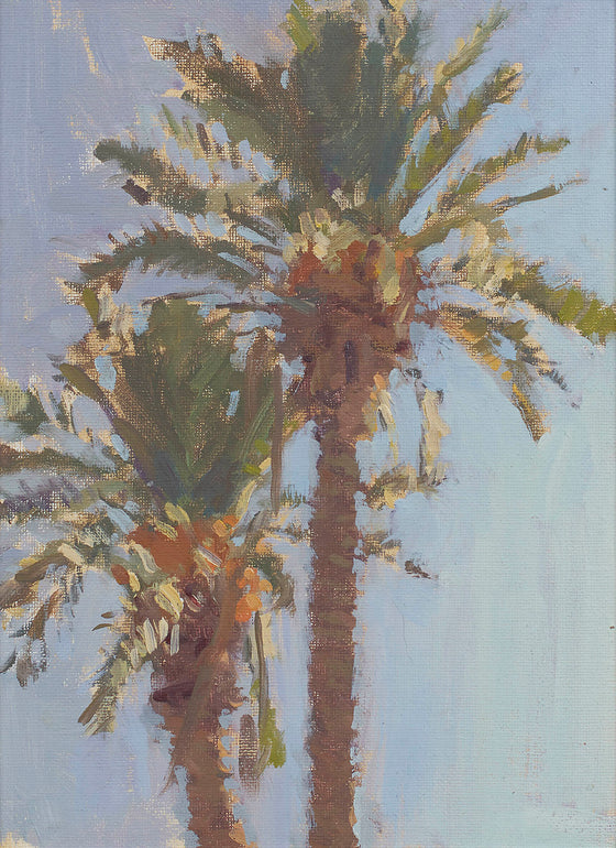 Backlit Palm Trees
