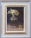 Primroses