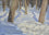 Snow in the Woods