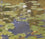 Waterlilies III