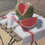 Watermelon on Red-Striped Cloth
