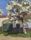 White House with Pear Blossom