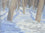 Snow in the Woods