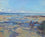 Sandcastles at Low Tide