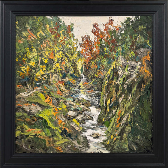 Autumn Shadows, Fairy Glen