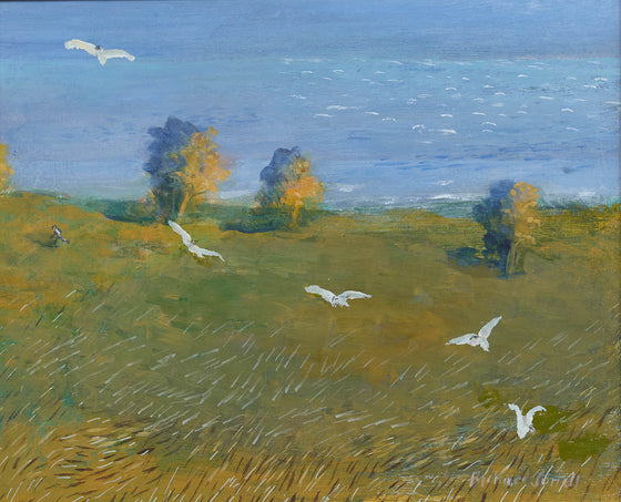 Birds Swirling Near The Sea