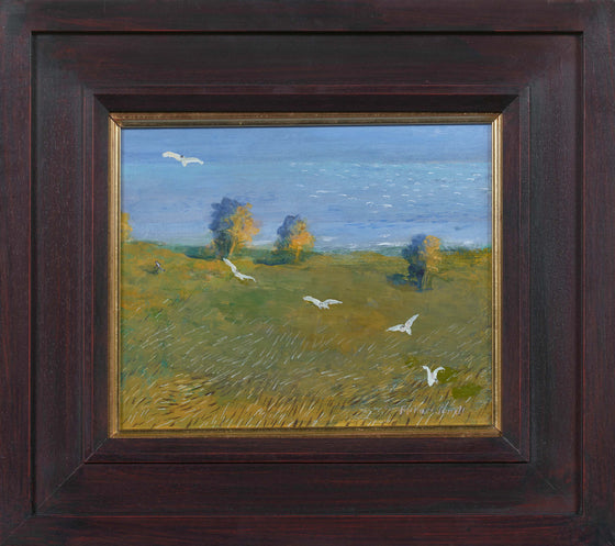 Birds Swirling Near The Sea