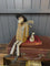 Mr Mustard Jig Doll with Doris - highest bid £400