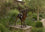 Stag II edition 3 of 3