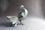 DH - Fantail Doves 3 & 4