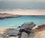 Spring Shoreline, Ardalanish Bay, Mull