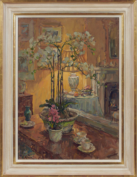 Drawing Room Orchid