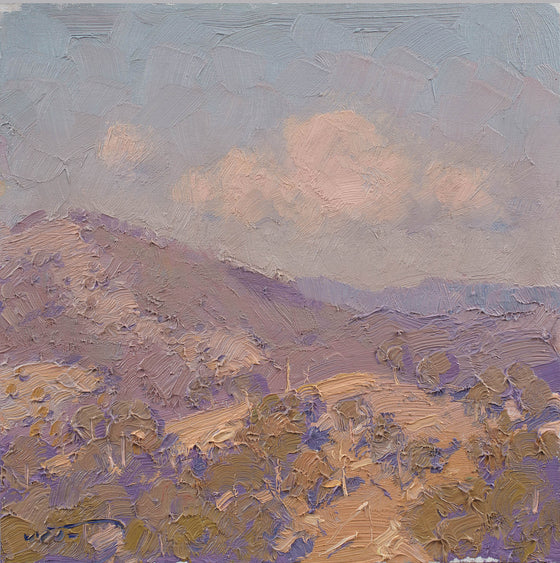 Gentle Morning Light, Kanimbla