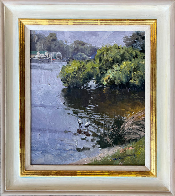 Georges River Shallows