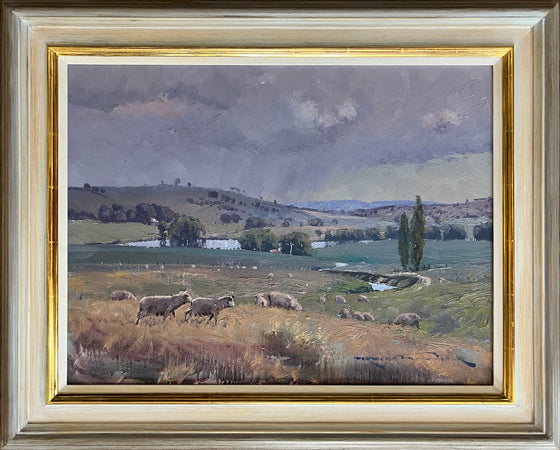 Grey Day Harmony, Bathurst