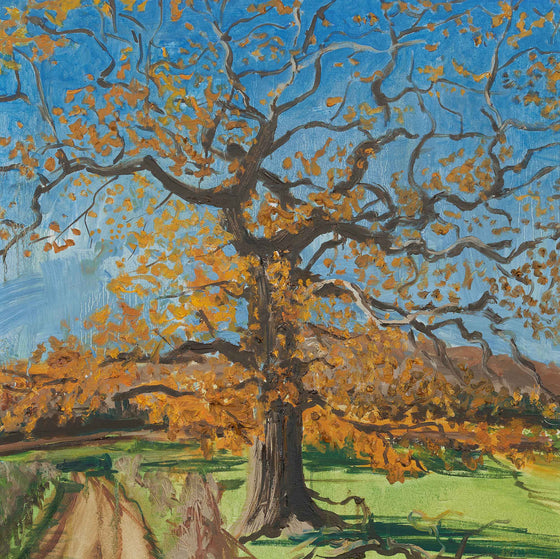 Oak in Late Autumn