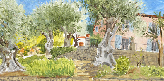 Olive Trees and Villa, Provence