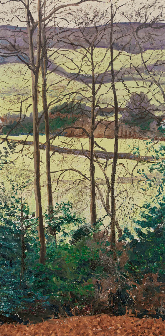 The Valley from the Woods