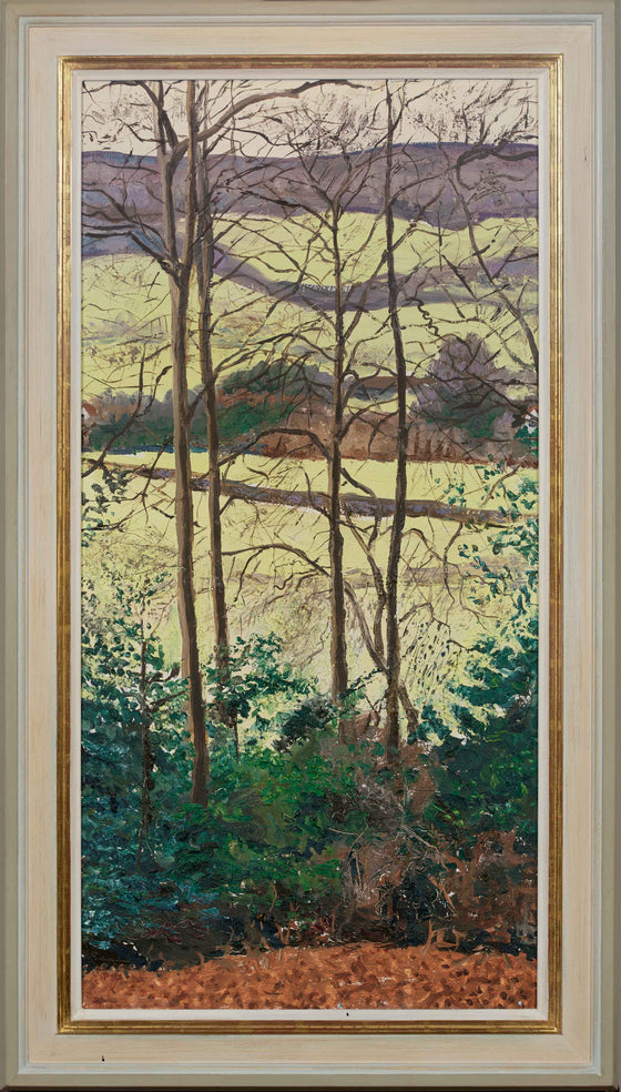 The Valley from the Woods