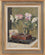 Cosmos and Japanese Anemones
