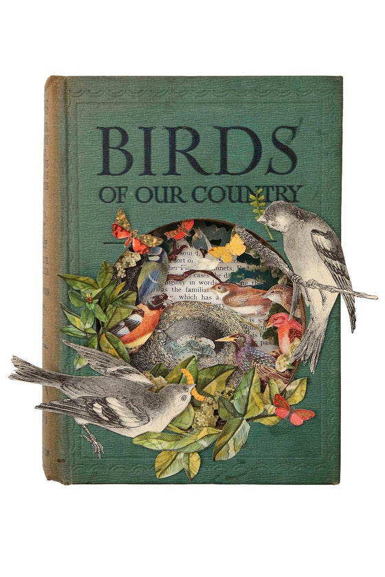 Birds of Our Country 1/50