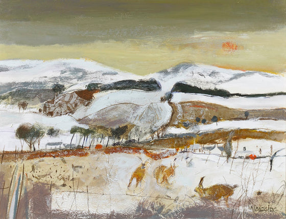 Winter Hares