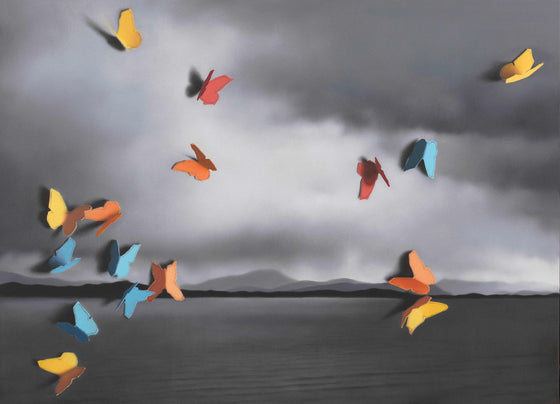 Donald Macdonald Scottish Art photorealist paintings 'Butterfly Dance'