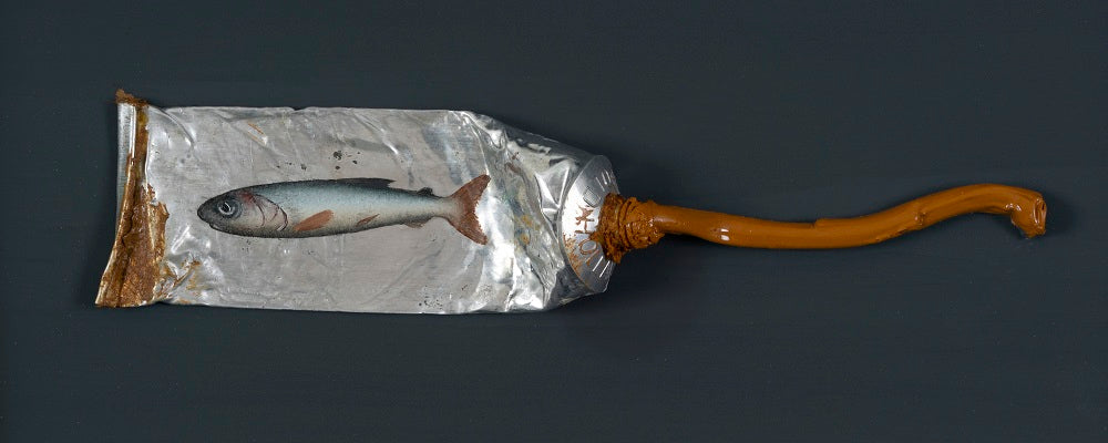 DONALD PROVAN: WEE FISH Scottish Contemporary Realist Art – Panter and Hall
