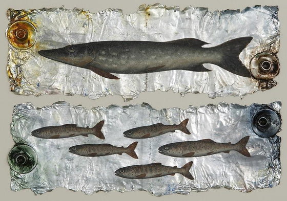 Pike and Prey