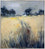 Hay Bales, Cornish Farm