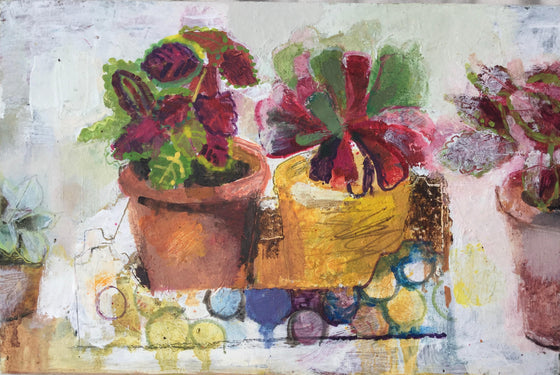 Helen Riches_The grape box 