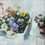 Helen Riches_potting violas