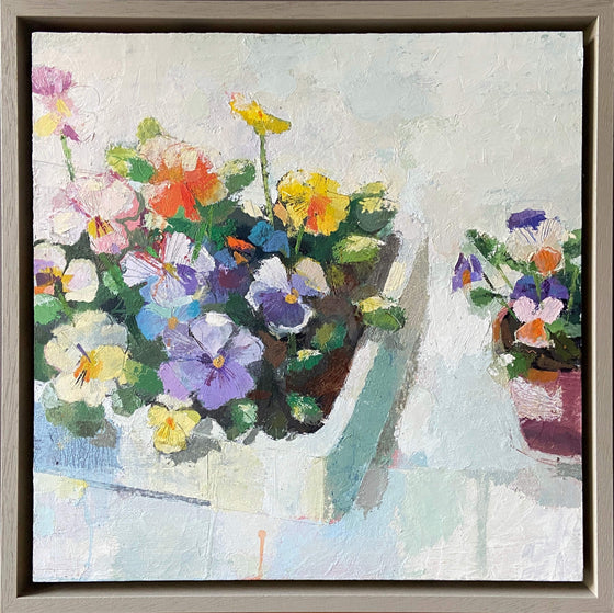 Helen Riches_Potting Violas 2