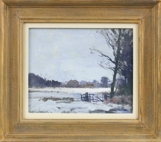 January Snow in Norfolk